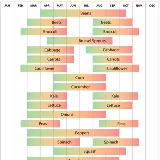 Vegetable Planting Calendar, MA